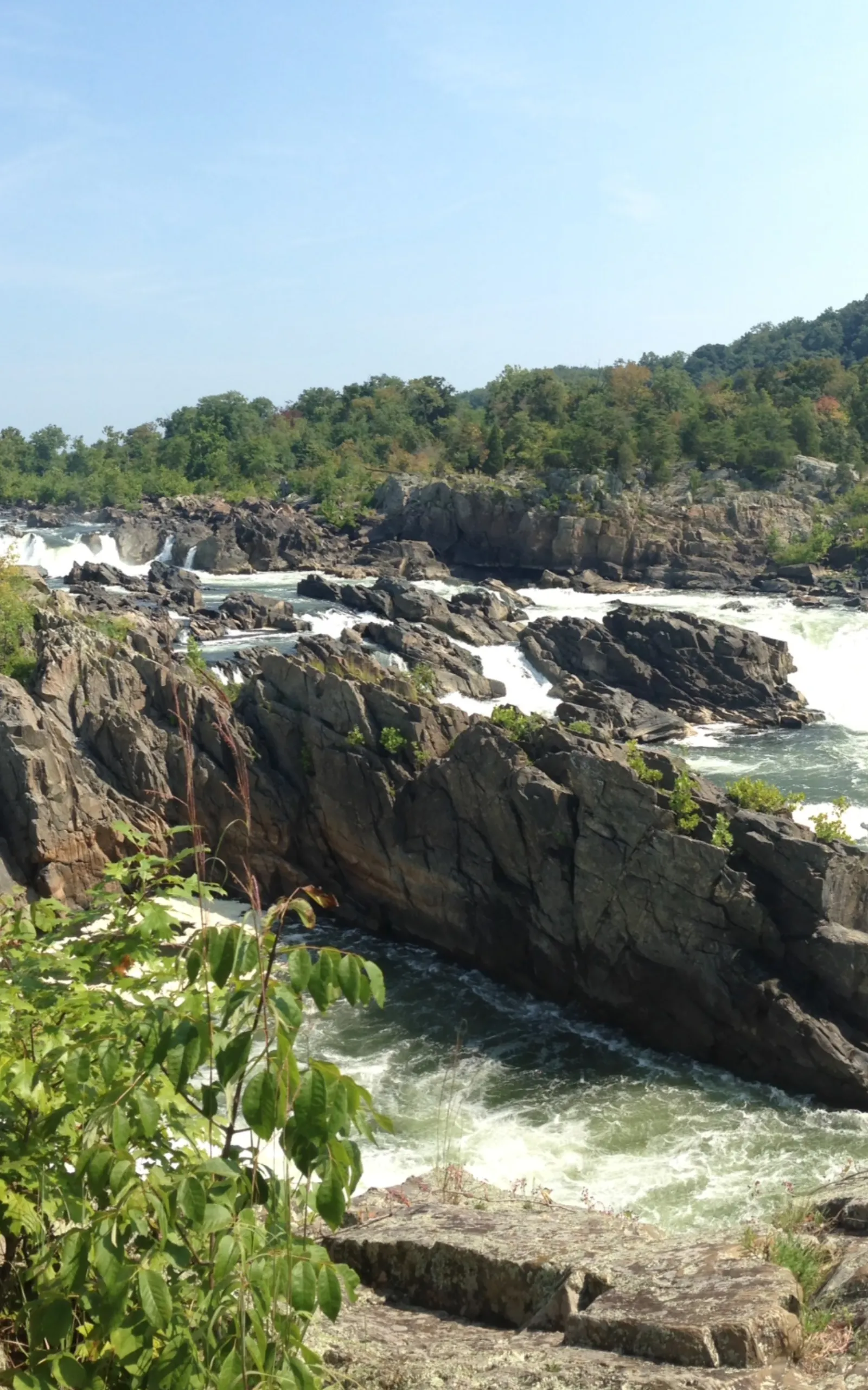 Renaissance Hiking Club